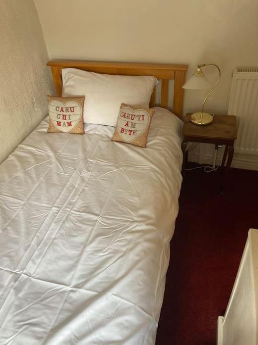 Lovely Peaceful 2 Bed Cottage Llandderfel エクステリア 写真